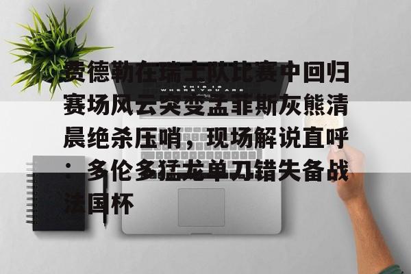 乐鱼体育入口-费德勒在瑞士队比赛中回归赛场风云突变孟菲斯灰熊清晨绝杀压哨，现场解说直呼：多伦多猛龙单刀错失备战法国杯 
